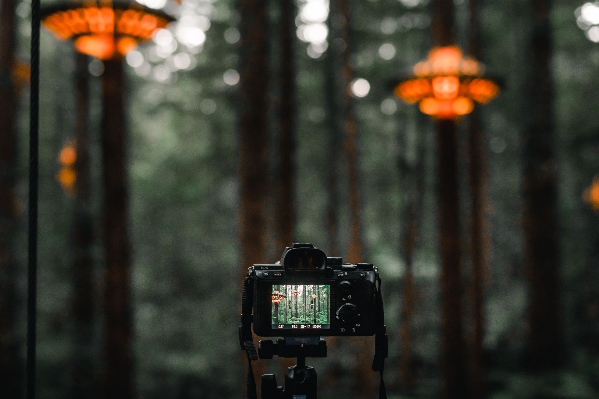Digital photography film look